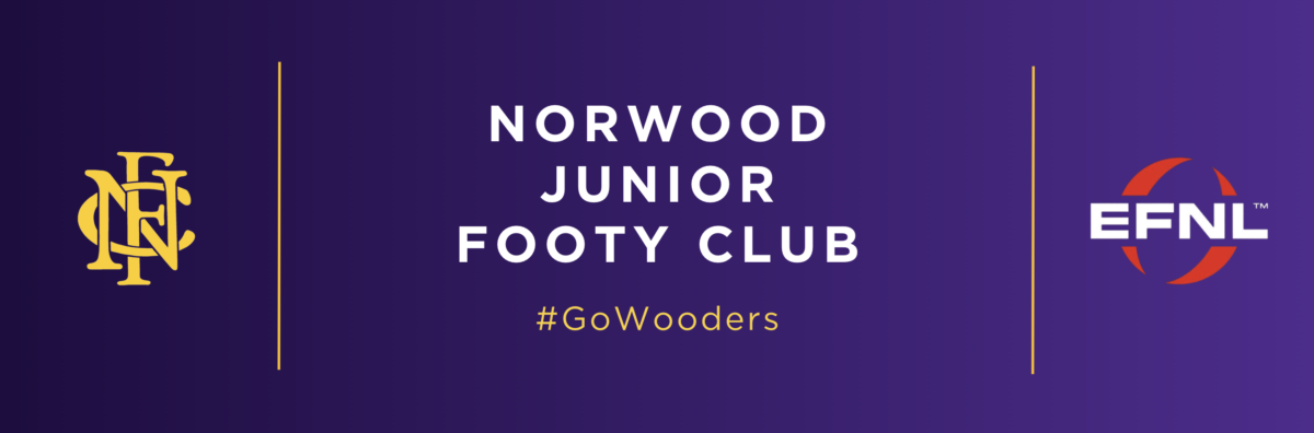 Norwood Junior Football Club Logo